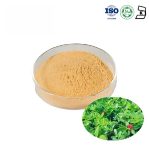 Andrographis Extract