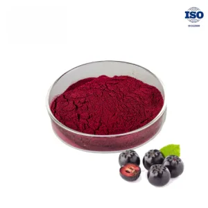 Aronia Powder