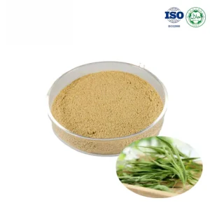 Bamboo Leaf Extract
