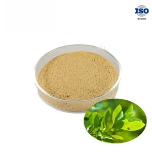 Bay Leaf Powder