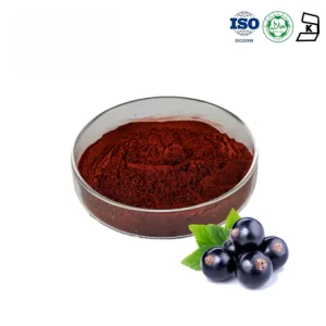Black Currant Powder