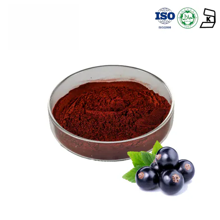 Black Currant Powder