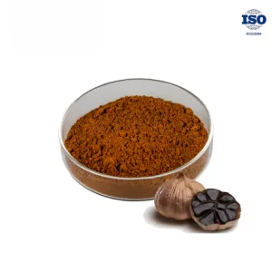Black Garlic Extract