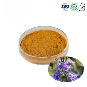 Chasteberry Extract
