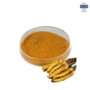 Cordyceps Cephalosporium mycelia Powder