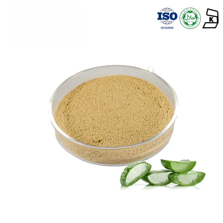 Curacao Aloe Extract