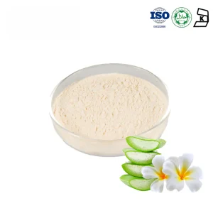 Curacao Aloe Powder