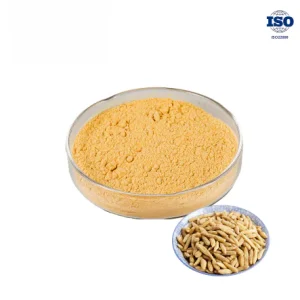 Dwarf Lilyturf Root Extract