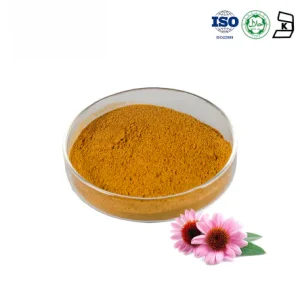 Echinacea Extract