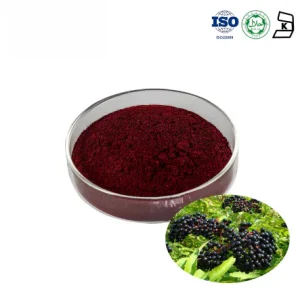 Elderberry SD Powder