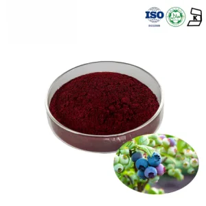 European Bilberry Fruit Extract