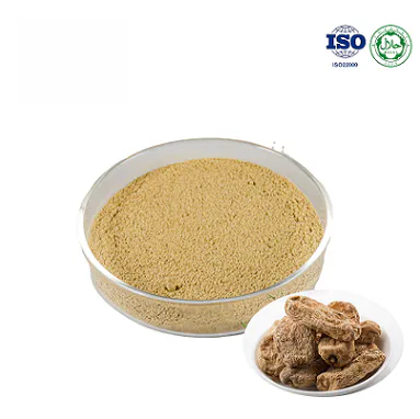Gastrodia Elata Extract