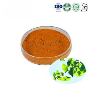 Ginkgo Biloba Leaf Extract
