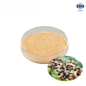 Hovenia Dulcis Extract