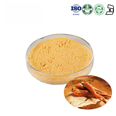 Korean Red Ginseng Extract