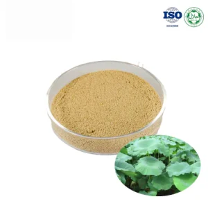 Lotus Leaf Extract