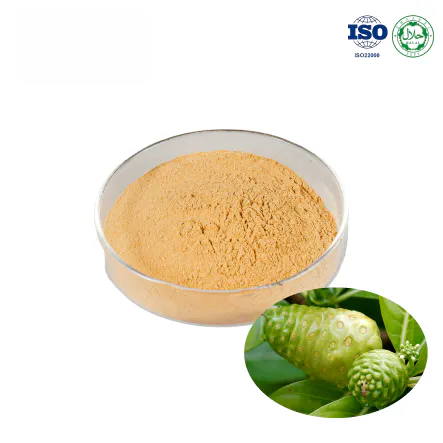Noni Fruit Powder