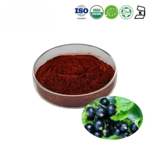 Organic Black Currant Extract