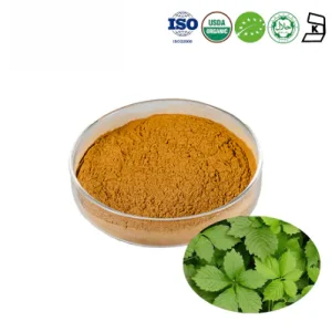 Organic Gynostemma Extract