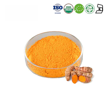 Organic Turmeric Extract