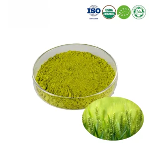 Organic Wheat Grass Juice Powder