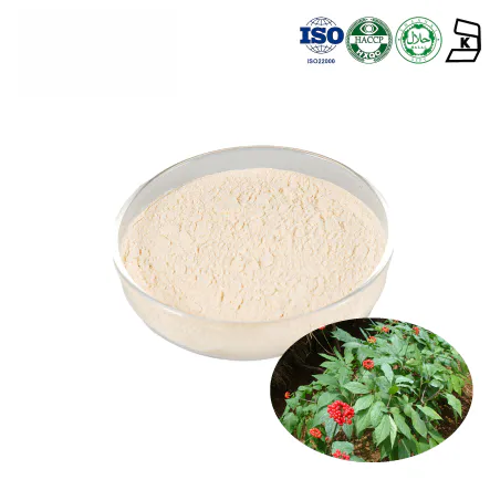 Panax Ginseng Leaf Extract