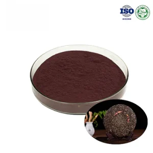 Puer Tea Extract