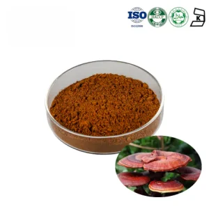 Reishi Mushroom Extract