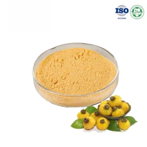 Rosa Roxburghii Fruit Extract