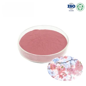 Sakura Flower Extract