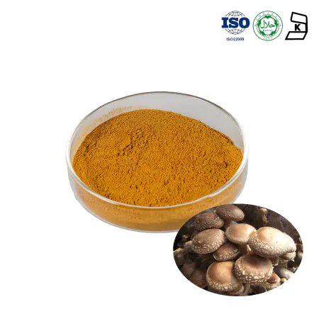 Shiitake Mushroom Extract