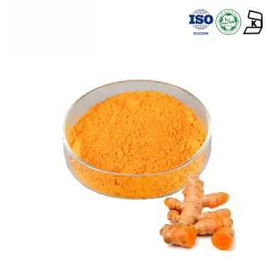 Turmeric Extract Curcumin 95%