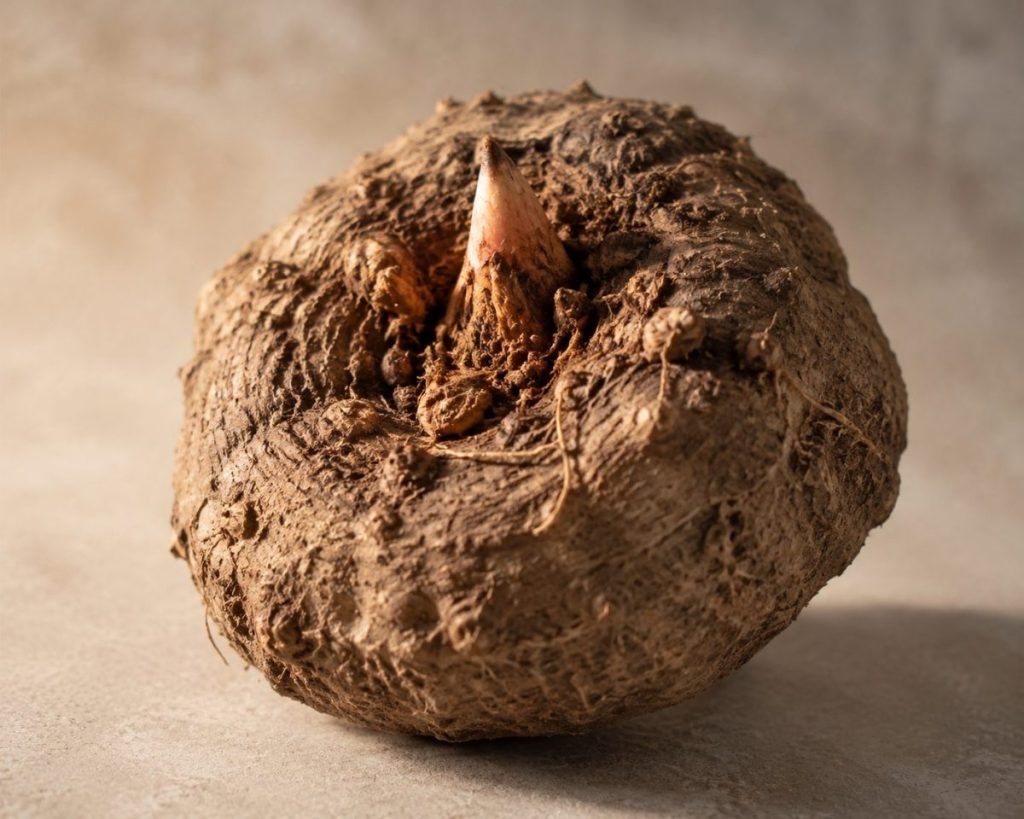 Fiber Supplements: The Complete B2B Formulator’s Guide to Sourcing and Positioning
