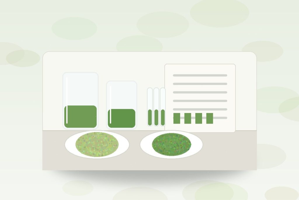 Decaffeinated green tea extract powder sample with caffeine target and COA review