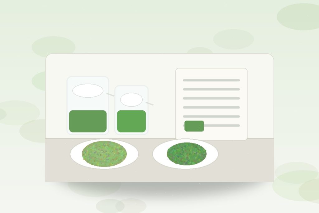 Green tea extract powder sample with caffeine specification documents and COA review
