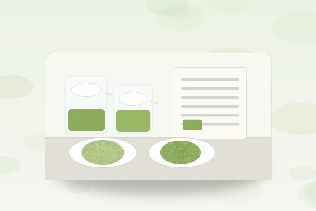 Green tea powder and matcha beverage formulation review with sample bowls and documents