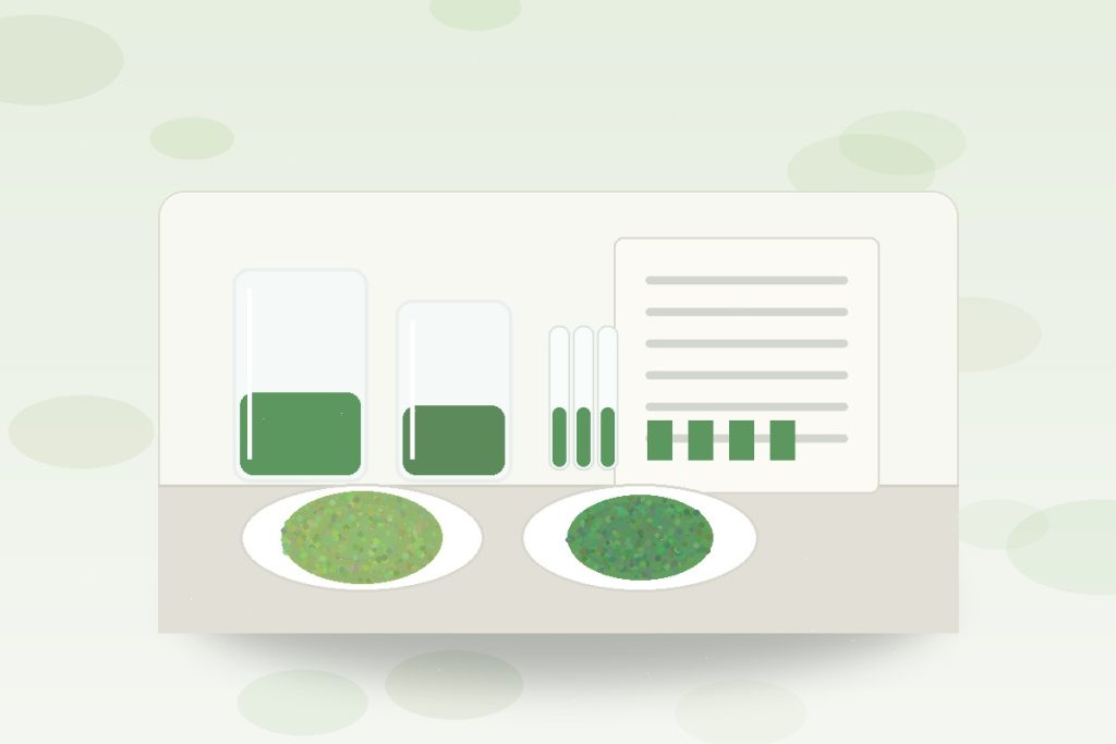 Green tea extract and L-Theanine HPLC COA review for supplement formulation