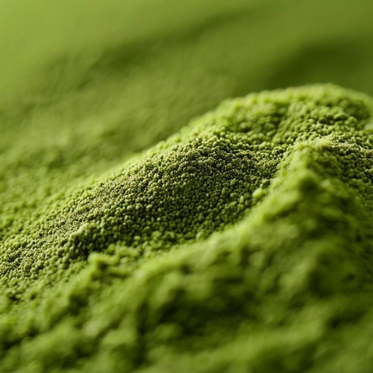 Organic Matcha Powder for Functional Beverages: Grade, Color, Dispersibility and Bulk Sourcing
